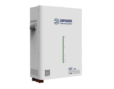 Lifepo4 7.2kwh 150Ah 48Vv Lithium Battery Wall Mounted PBS