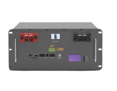 Lifepo4 Lithium Battery 5.12KWh 51.2v 100Ah Rack Mounted PBS